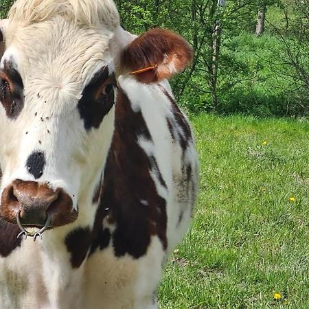 La Lande-de-Louge Roulotte A La Ferme Buissonniere 빌라 외부 사진